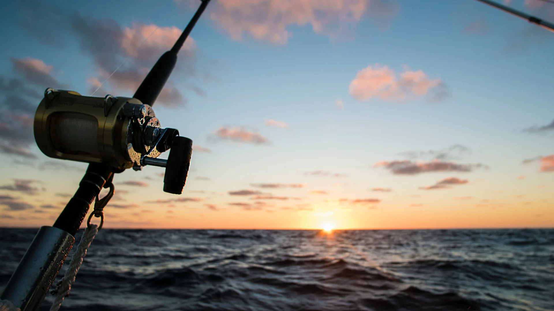 Went deep sea fishing in Oahu with my family for the first time! : r/Fishing