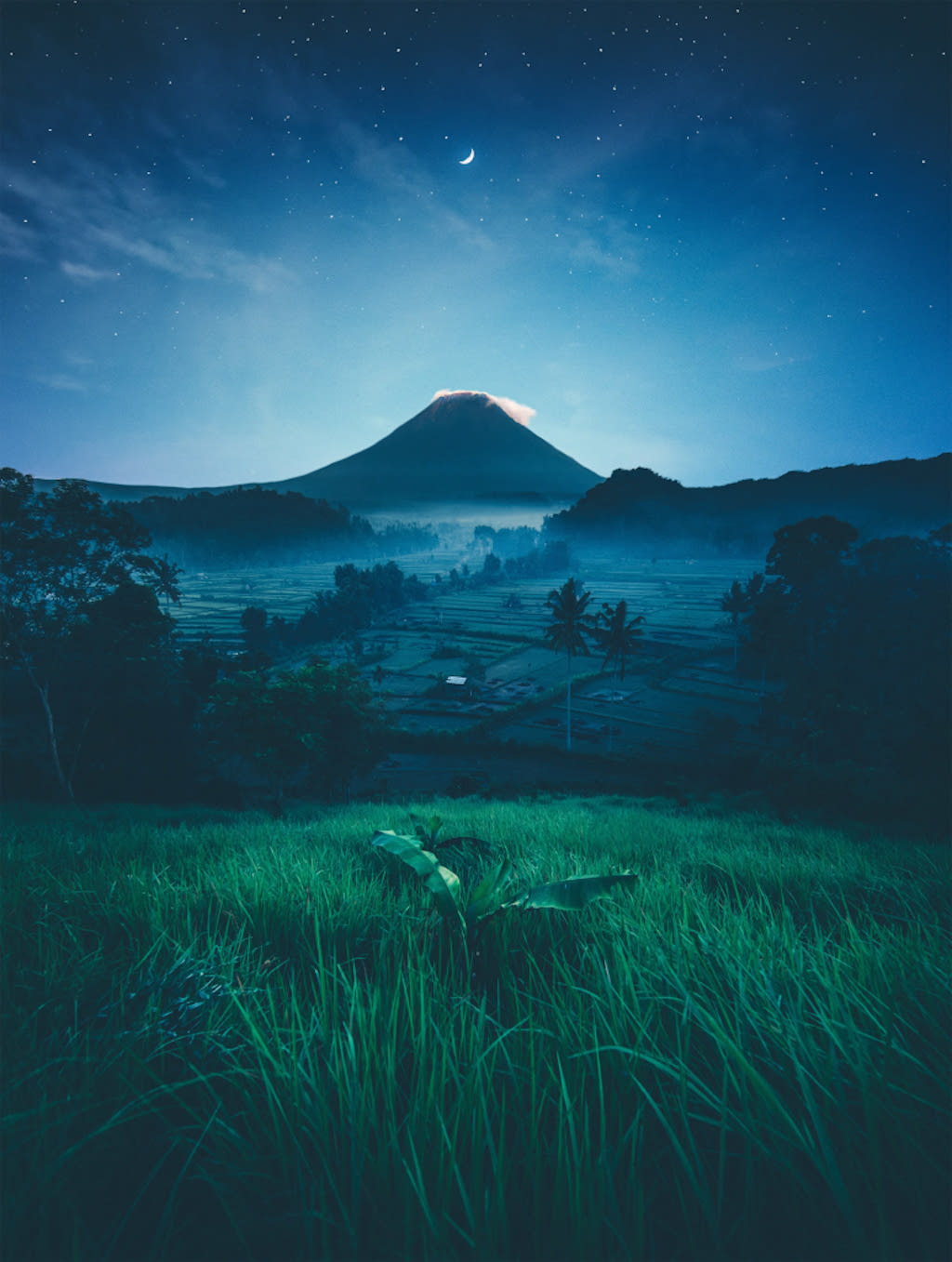 Hawaii Landscape at Night