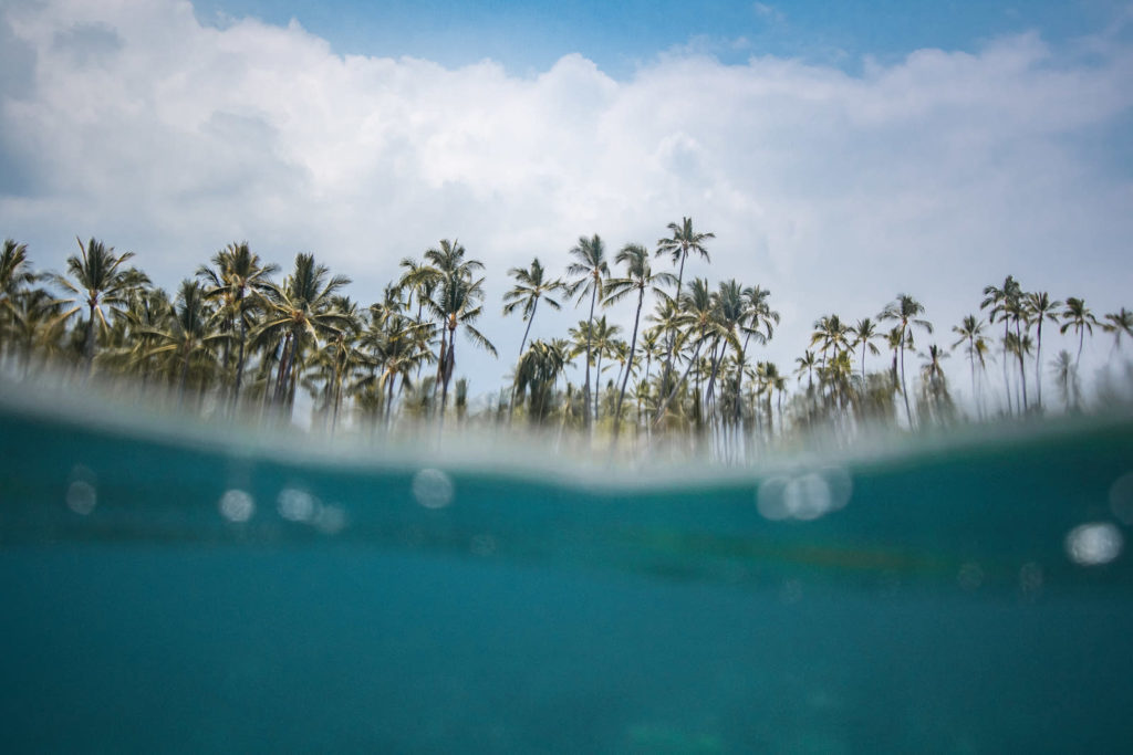 Scuba Diving POV